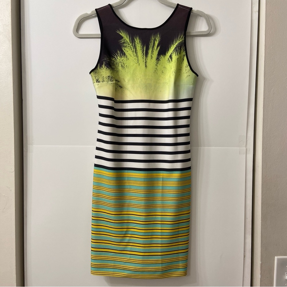 Clover Canyon Palm Tree Striped Sleeveless Dress XS